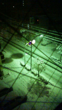 201002062345000.jpg