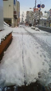 201002070751000.jpg