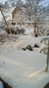 201002070756000.jpg