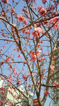 201003200951000.jpg