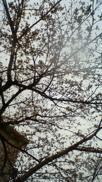 201003231129000.jpg