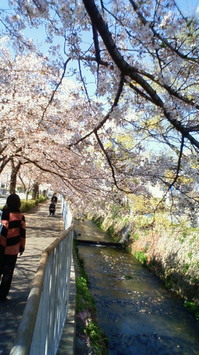 201004081451000.jpg