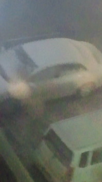 2011010922080000.jpg
